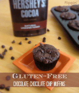 Gluten-Free Chocolate Chocolate Chip Muffins