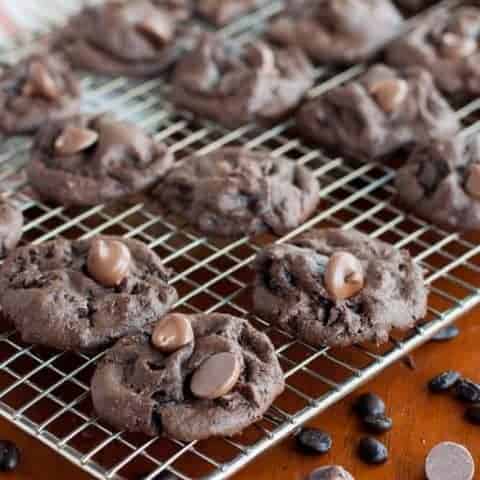 Fudgy gluten free mocha chocolate chip cookies are soft and chewy. They are full of cocoa and chocolate with just a hint of bitter coffee.