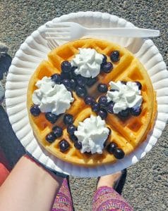 gluten free waffle with blueberries and whipped cream from Sweet Nothings at Los Ranchos growers market in Albuquerque