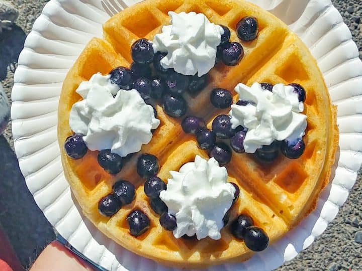gluten free waffle with blueberries and whipped cream from Sweet Nothings at Los Ranchos growers market in Albuquerque