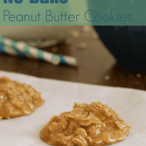 No-Bake Gluten Free Peanut Butter Cookies