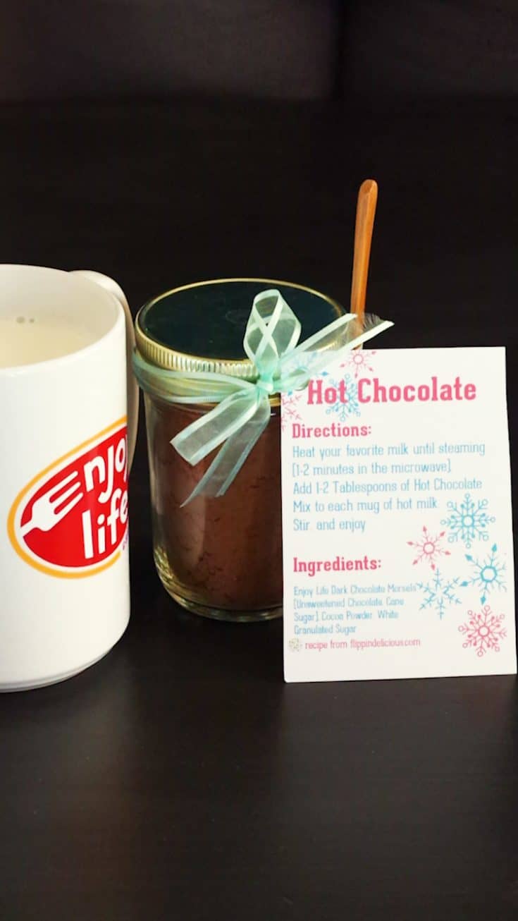 Vegan Hot Chocolate Mix Recipe- Perfect for Gifting - Flippin' Delicious