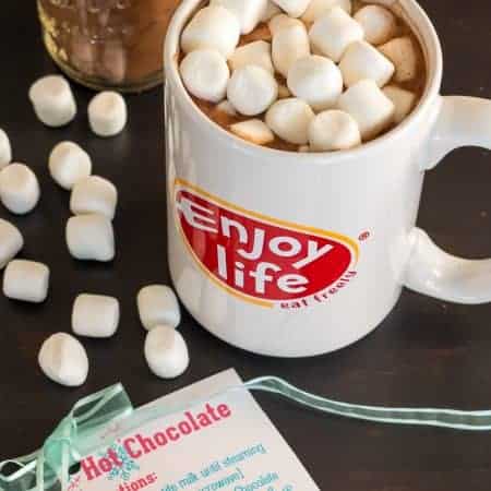 Vegan Hot Chocolate Mix Recipe- Perfect for Gifting