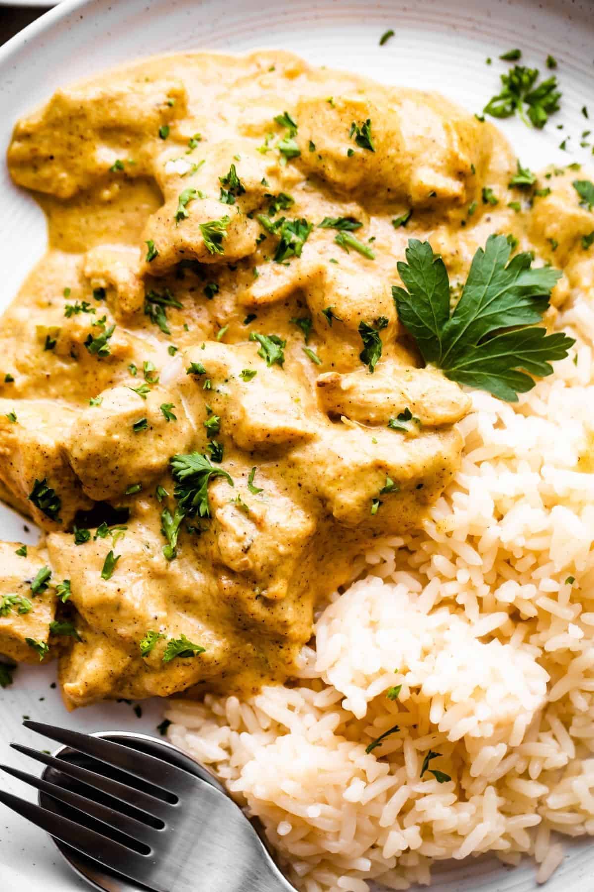 Easy Gluten-Free Chicken Korma with rice on a white plate.