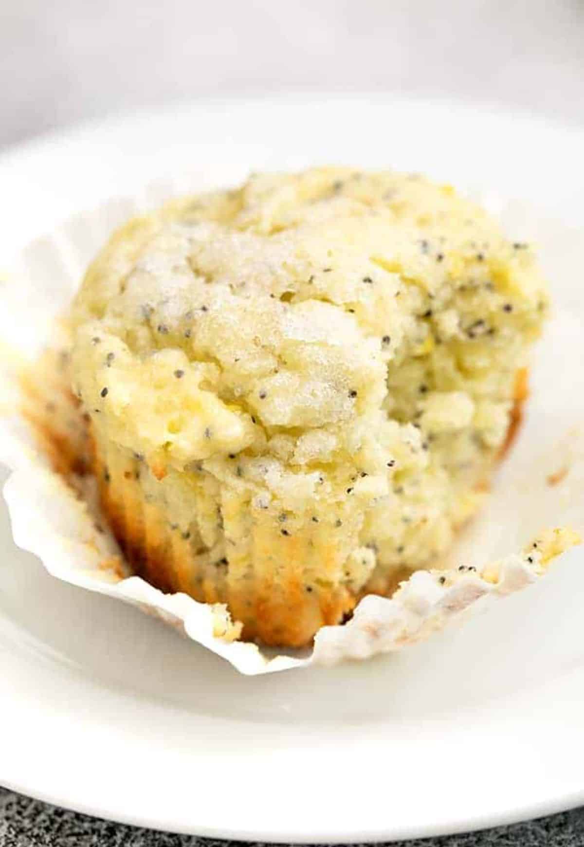 Delicious Gluten-Free Lemon Poppyseed Muffin on a white plate.