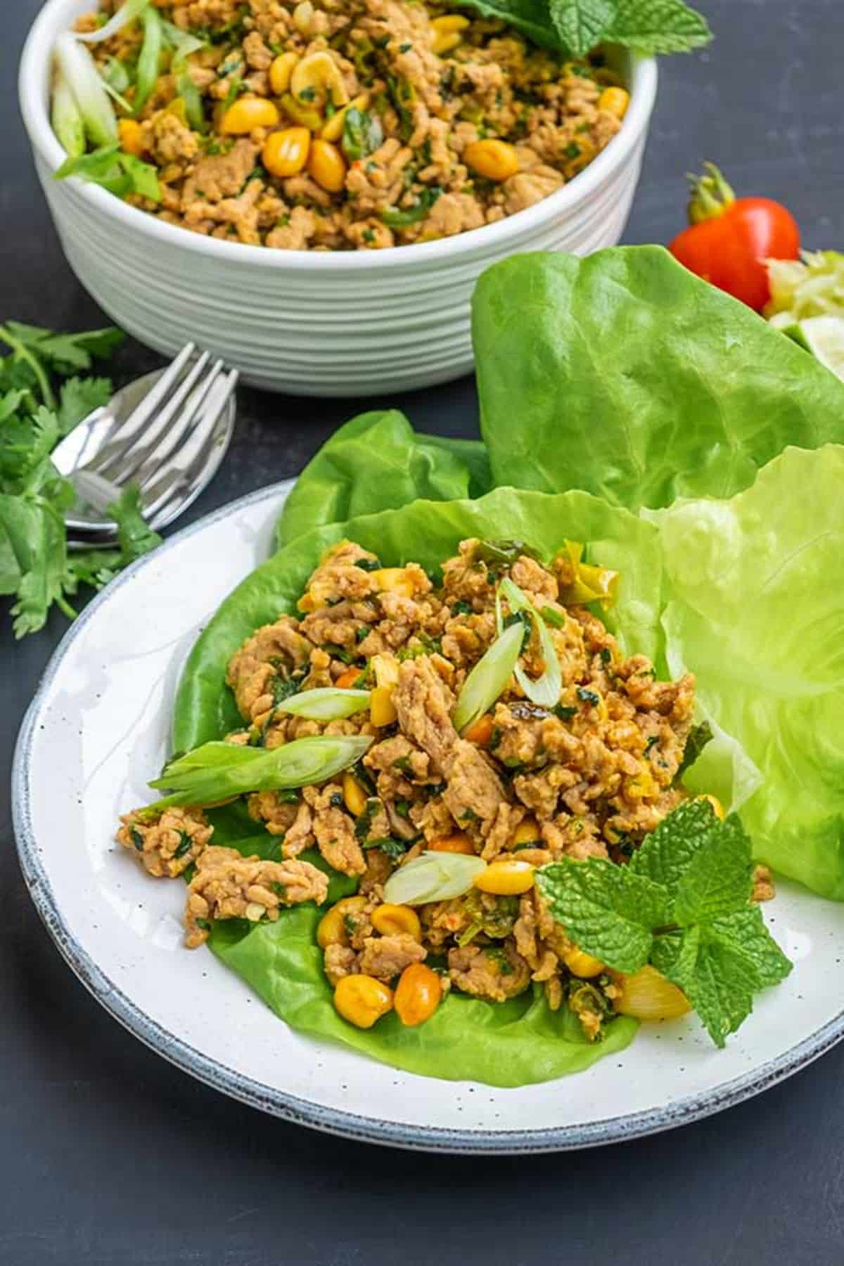 Delicious Southwest Chicken Lettuce Wrap on a white plate.