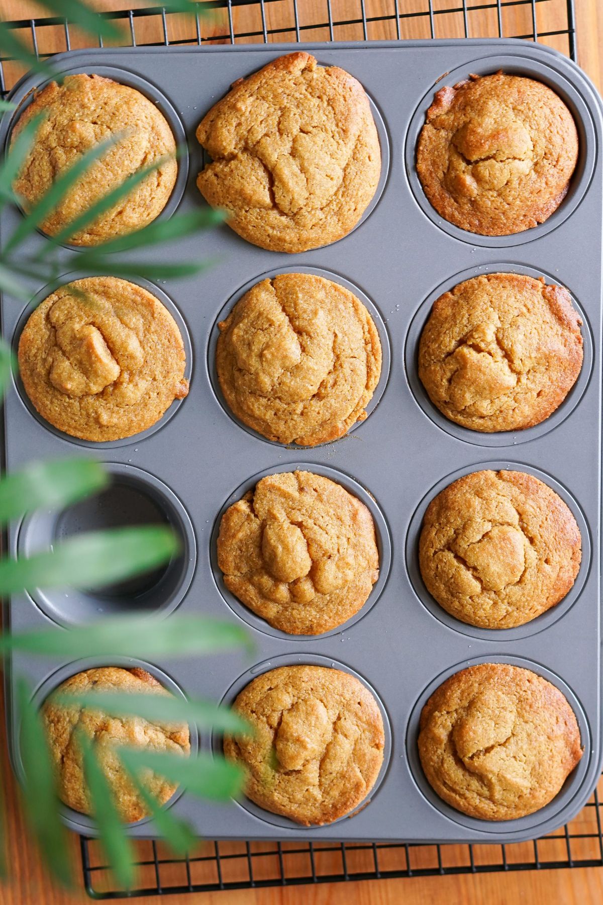 Almond Flour Pumpkin Muffins in a gray baking tray.