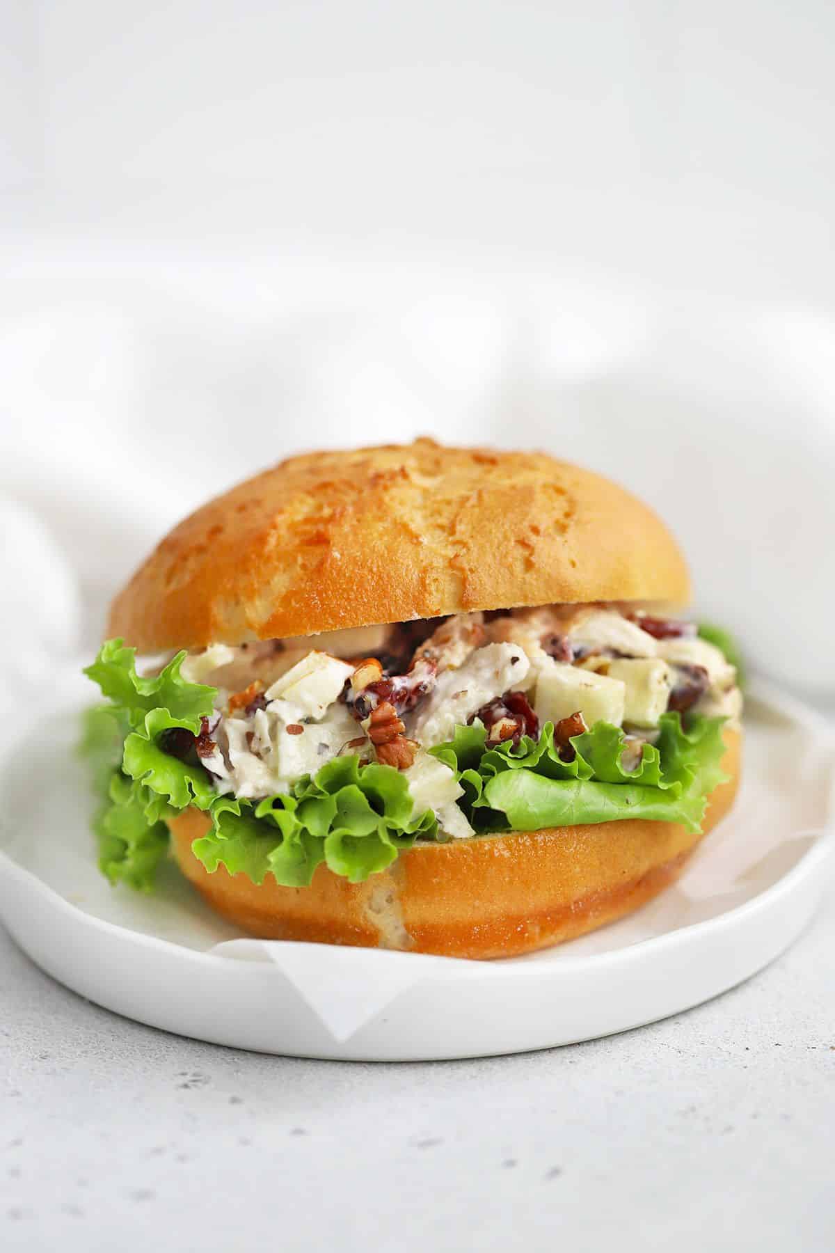 Apple Cranberry Chicken Salad in a burker on a white plate.