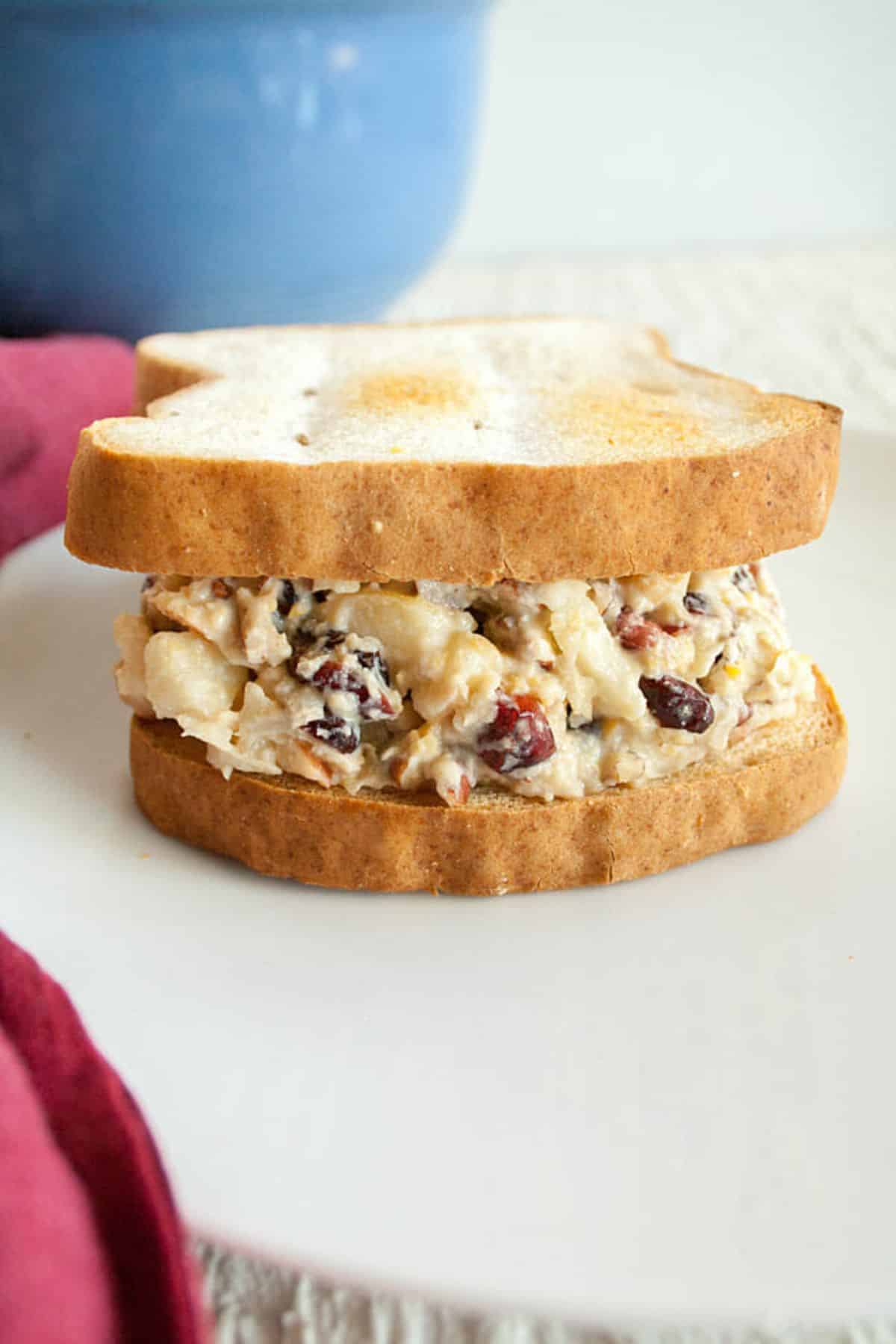 Delicious Cranberry, Apple, and Chickpea Sandwich on a white tray.