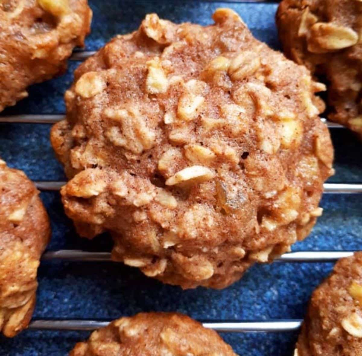 Delicious Apple Sharlotka Cake on a resting grid.