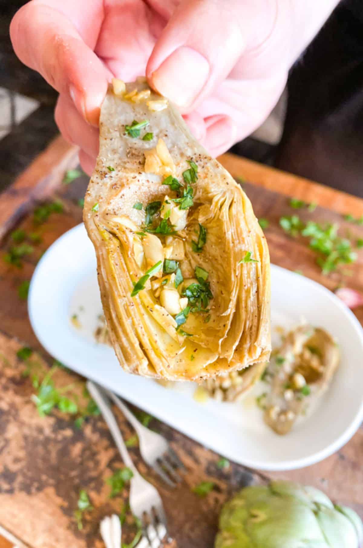 Healthy Spanish Garlic Artichoke held by hand.