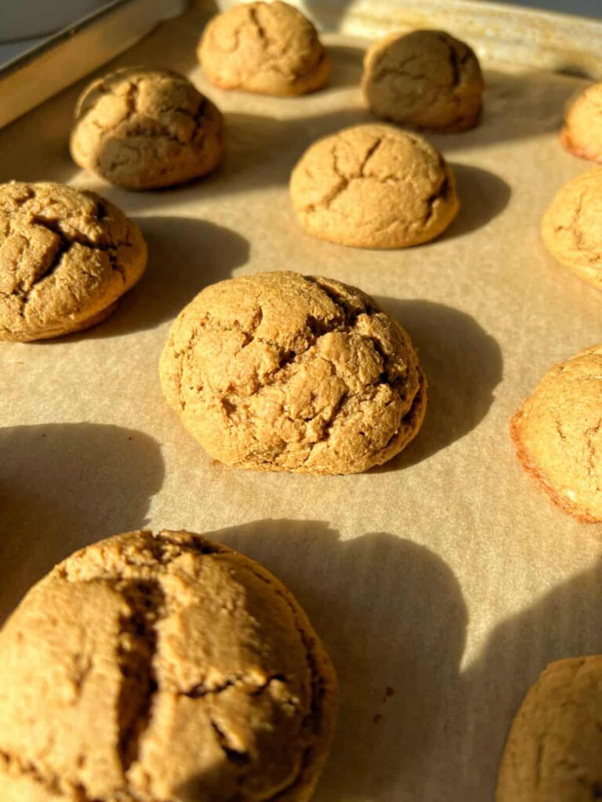 Crispy Our Favorite Ricotta Cheese Cookies (Gluten-Free) on a baking tray.