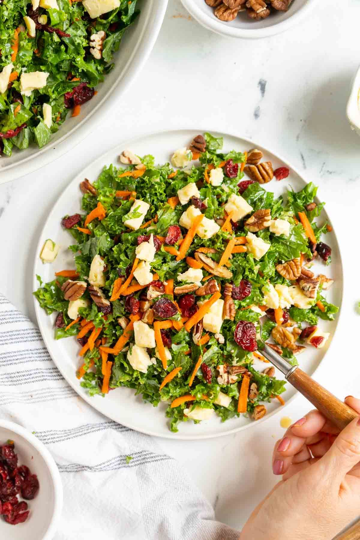 Delicious Kale and Cranberry Salad on a white plate.