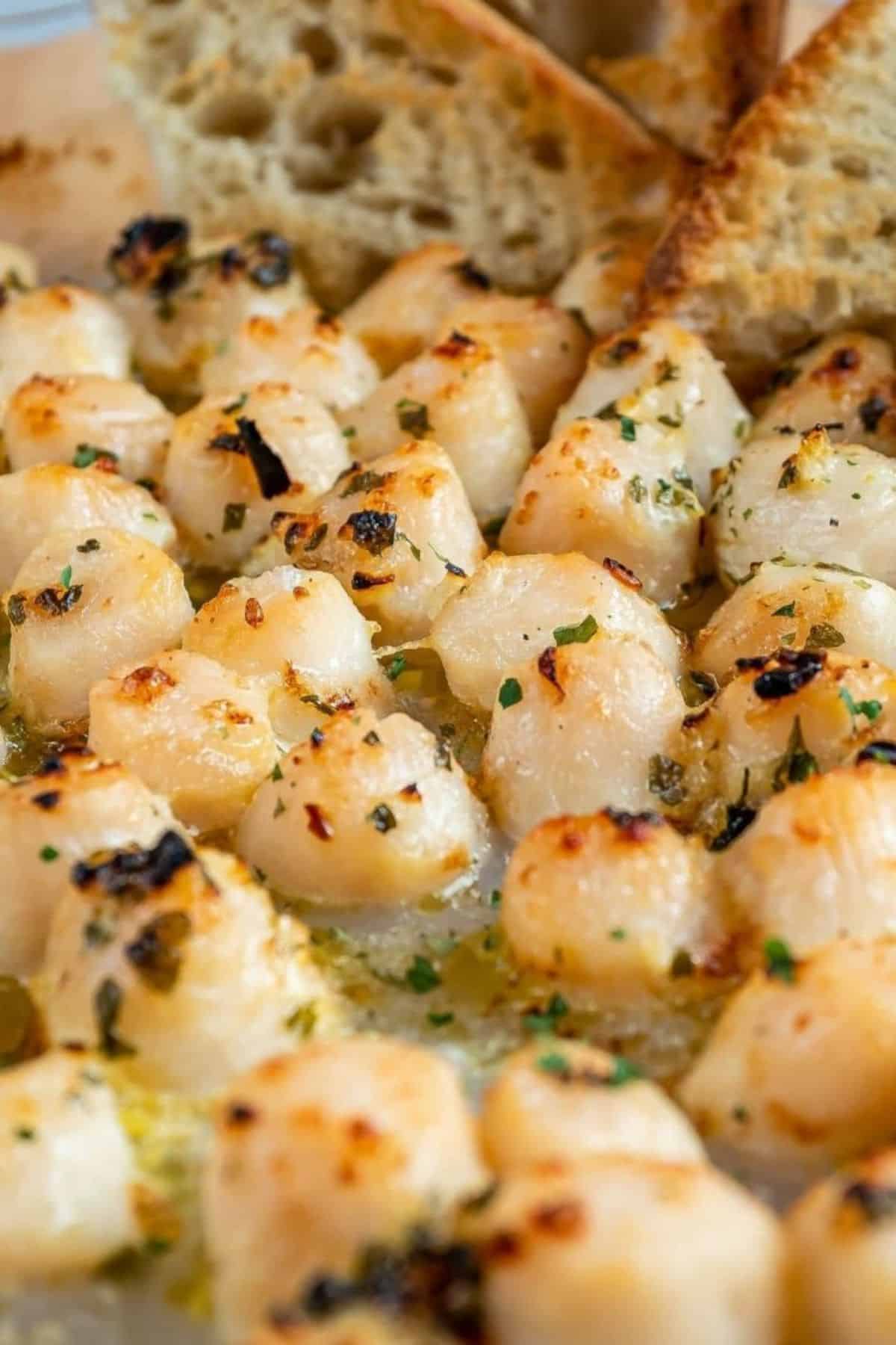 Juicy Broiled Bay Scallops in a bowl.
