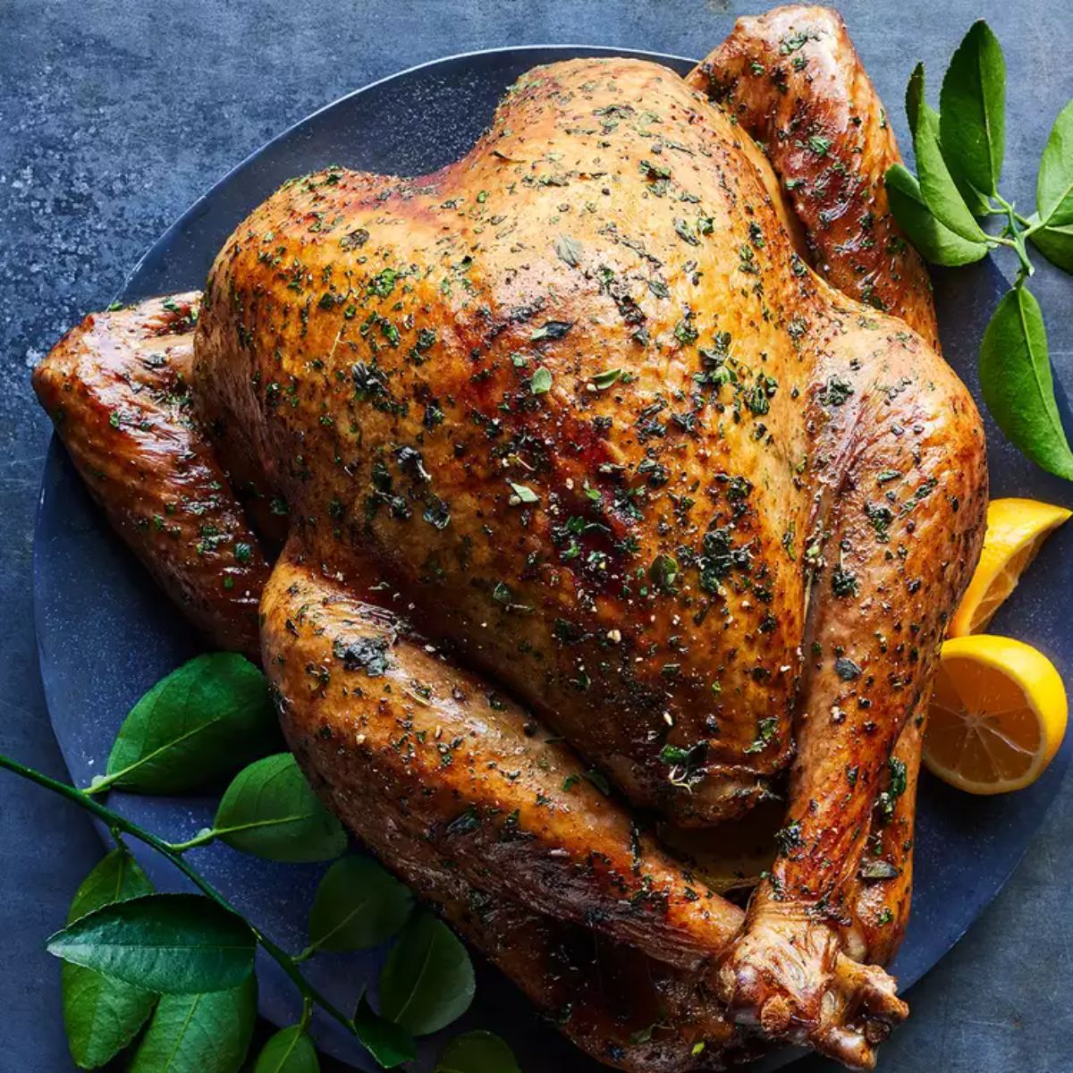 Delicious Herb-Roasted Turkey on a black plate.