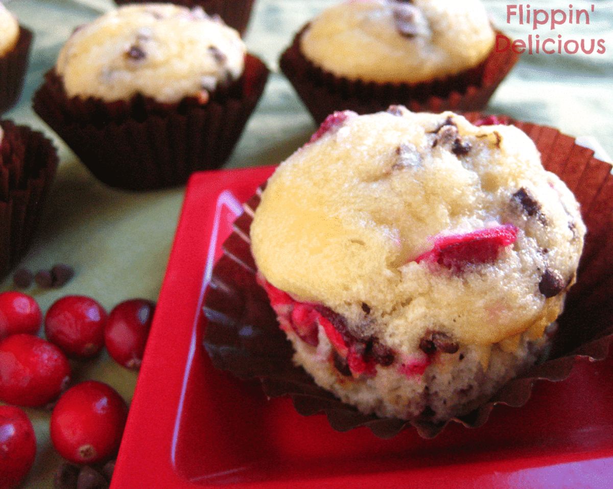 Delicious Gluten-Free Cranberry Chocolate Muffin on a small red plate.