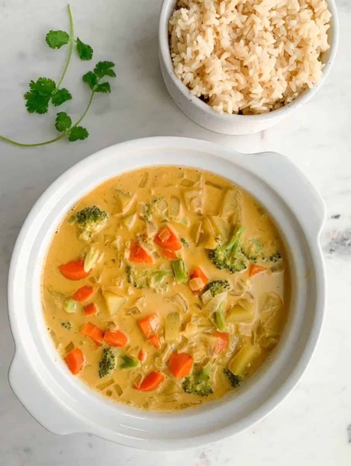 Flavorul Thai Curry on a white plate.