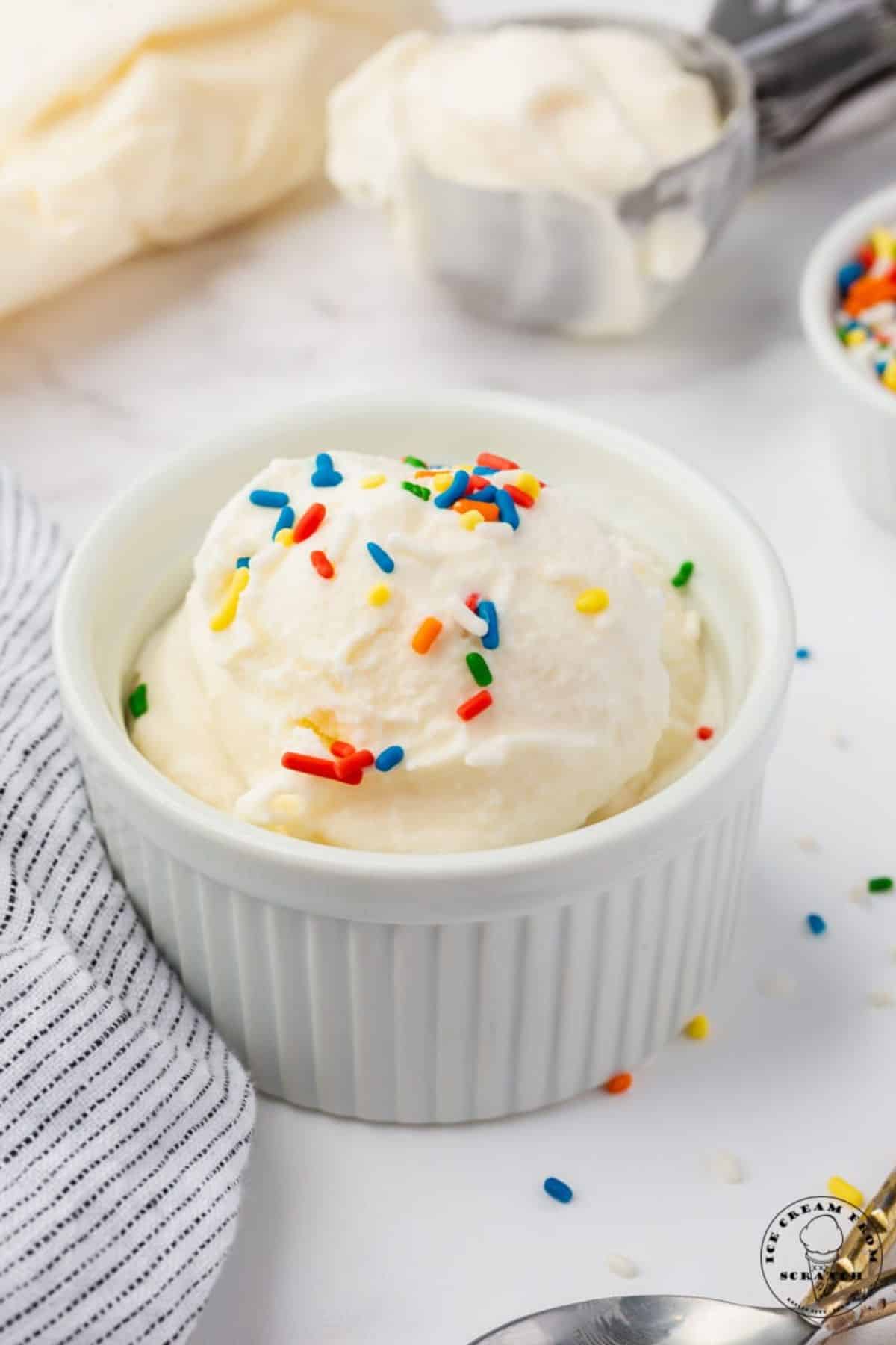 Flavorful Vanilla Ice Cream in a Bag in a small white bowl.